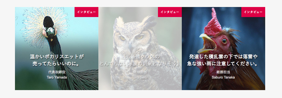 ワードプレスの画像ナビゲーション