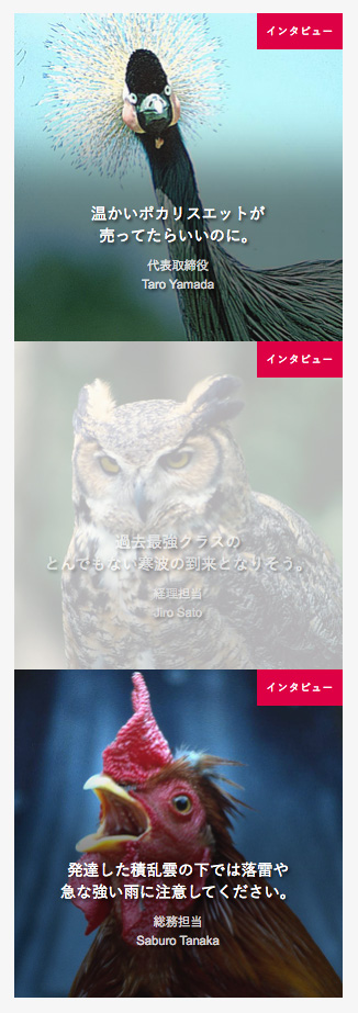 ワードプレスの画像ナビゲーション